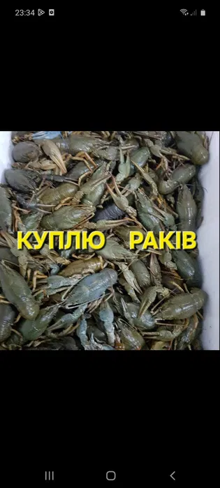 Живі раки по всім областям